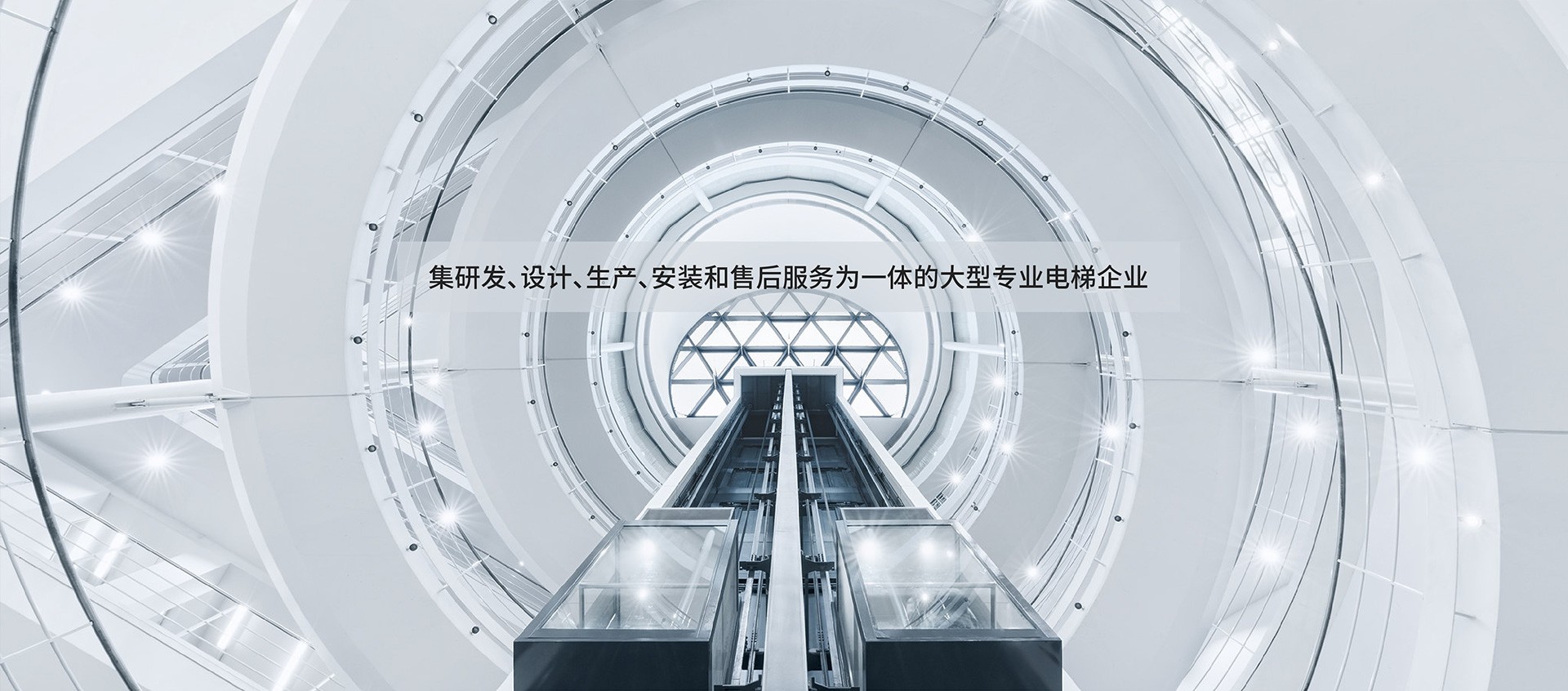 天津?yàn)I海三洋電梯